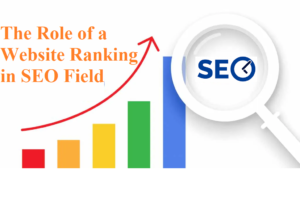 The Role of a Website Ranking in SEO Field