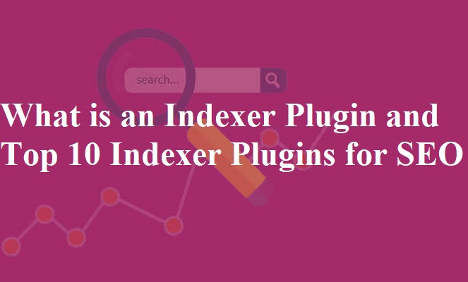 What is an Indexer Plugin and Top 10 Indexer Plugins for SEO