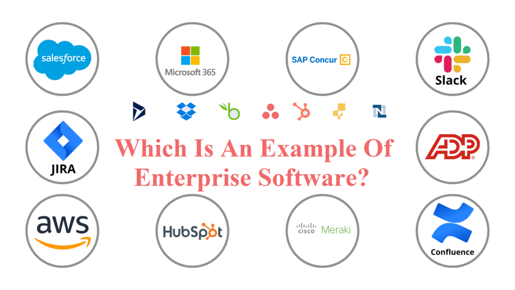 Which is an Example of Enterprise Software?